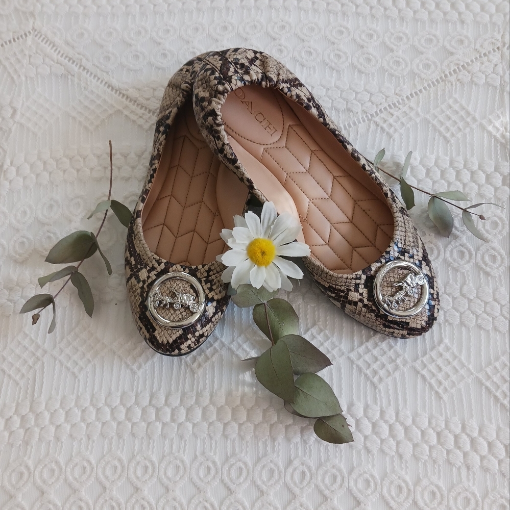 Coach Bailey  ballet flats $125 size:7 COACH.